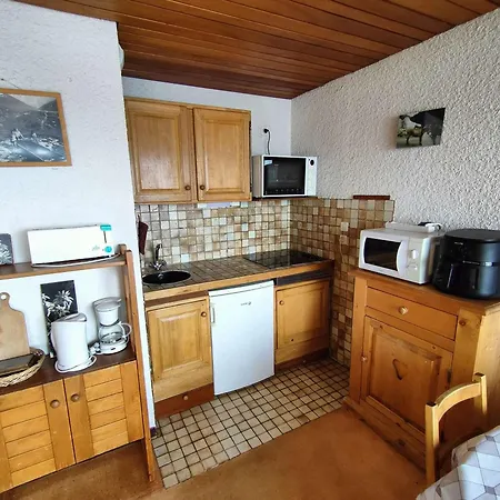 Au Pied Des Pistes, Balcon, Parking, Animaux Admis - Fr-1-297-16
